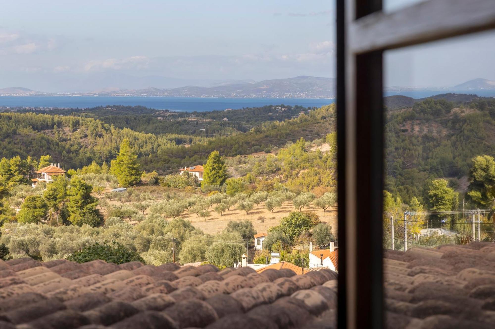 Villa Marrone Splendid Seaview Μαρκόπουλο Ωρωπού Εξωτερικό φωτογραφία